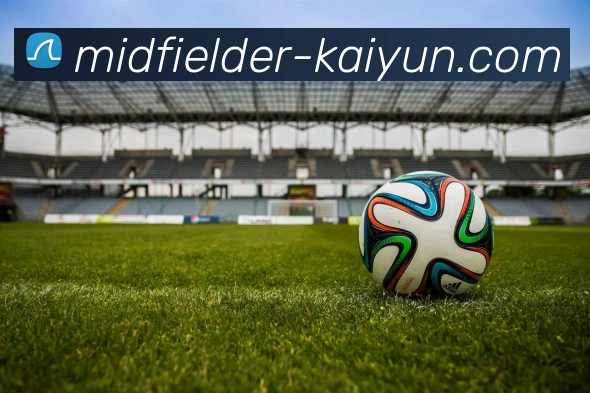 开云官网APP 体育赛事宣传图